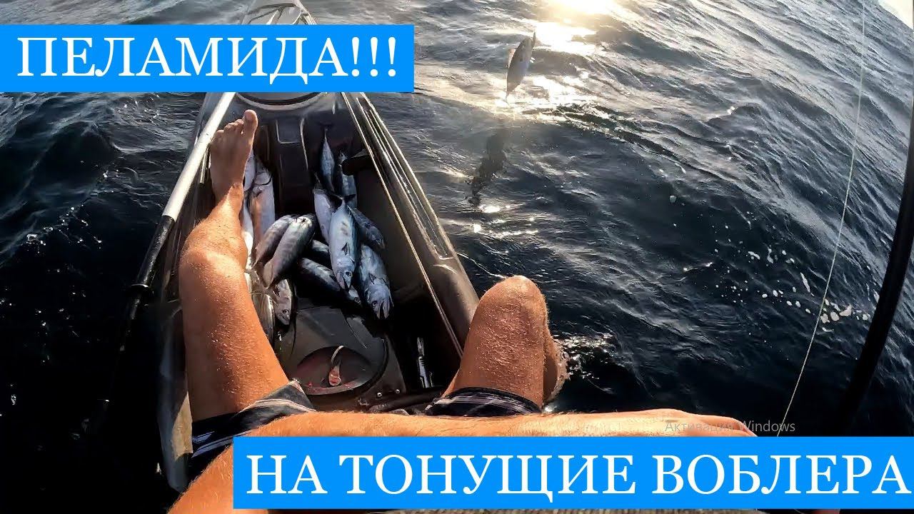 Ловля ПЕЛАМИДЫ в заброс и не только!) смотреть онлайн