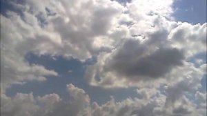 Марк Варшавский.