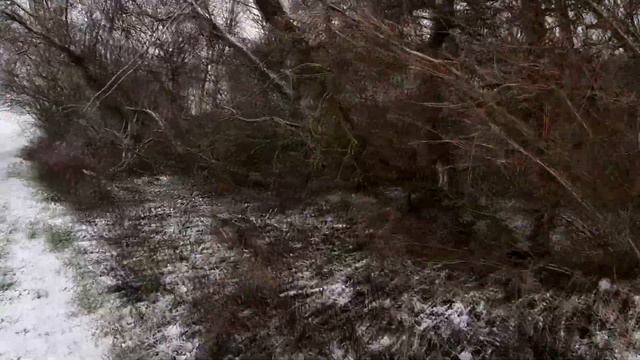 🔴Охота на пушного зверя 2021! Два трофея! #Hunting#!💥 смотреть онлайн
