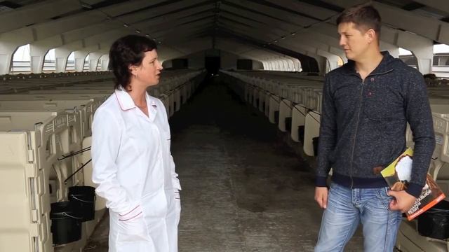 Профилактика болезней телят (молодняка) с помощью вакцин «Скоугард», «Бови-шилд Голд» смотреть онлайн