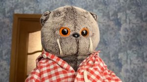 День с Басиками- учимся + распаковка ОДЕЖДЫ!