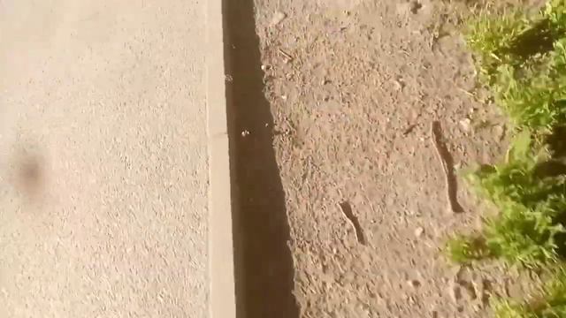 а куда я жмал смотреть онлайн