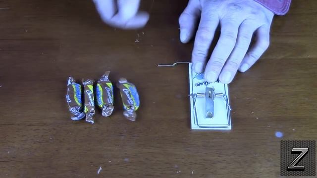 The three best ways to bait a mousetrap to get them almost every time ( no licked clean traps) смотреть онлайн
