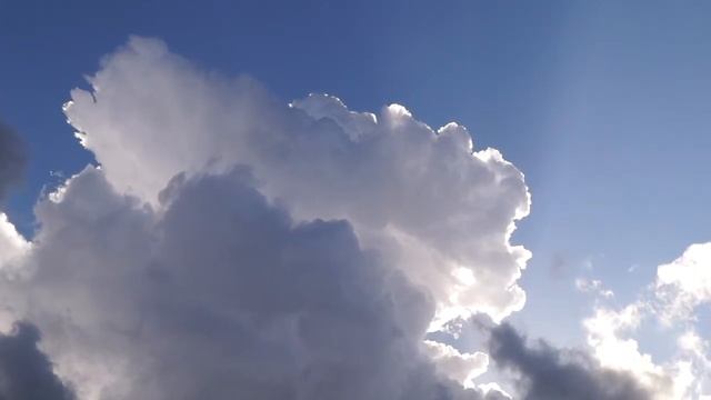 Towering Cumulus (Cumulus Congestus) Cloud Timelapse