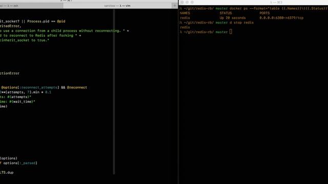 redis-rb reconnection back off смотреть онлайн