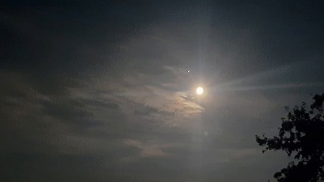 "Ибо сей год будет годом великих перемен...". Пророчество 01.23. смотреть онлайн