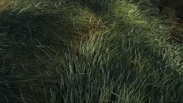 Косилка самоходная ES 1 ( КСУ 1) смотреть онлайн