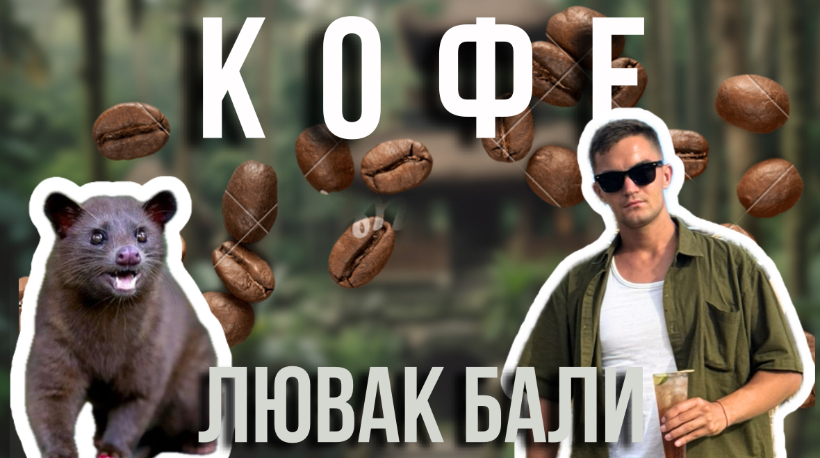 КОФЕ ЛЮВАК |КАК ДОБЫВАЮТ?| БАЛИ смотреть онлайн