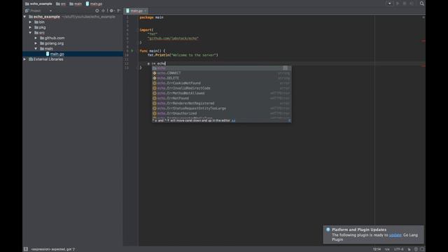 Creating Golang WebServer With Echo - Part 1：Project Setup and HelloWorld смотреть онлайн