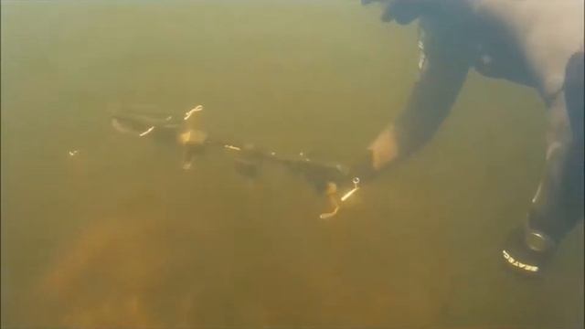 Подброс подводного ружья.