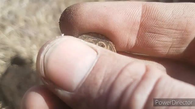 КОП Открытие сезона 2020 Попытка номер ДВА Поиск с металлоискателем Много монет и не только смотреть онлайн