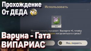 ВАРУНА ГАТА ВИПАРИАС ВАСМРТИ ГДЕ НАЙТИ как закончить 3 главу араньяка Прохождение Геншин импакт