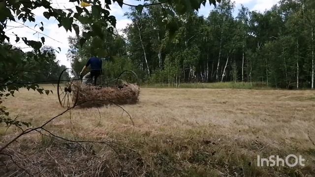 Заготовка сена мотоблоком. смотреть онлайн