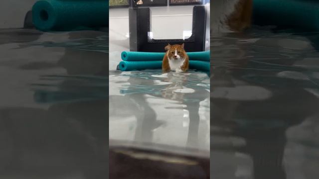 Главное не победа, а участие 💪 смотреть онлайн