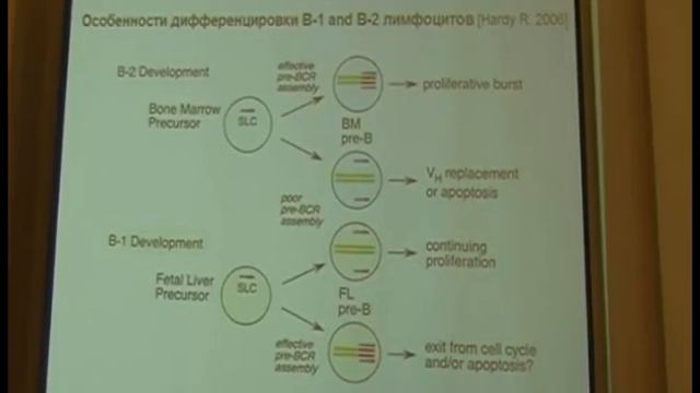 24.06.09 | Сидорова Е.В. | Королевство В-лимфоцитов смотреть онлайн