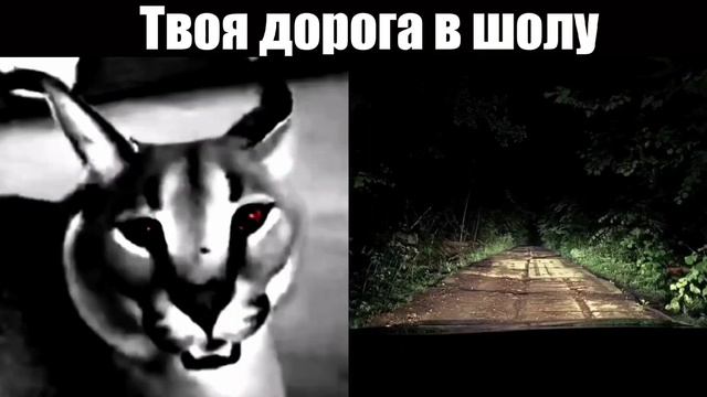 Твоя дорога в школу смотреть онлайн