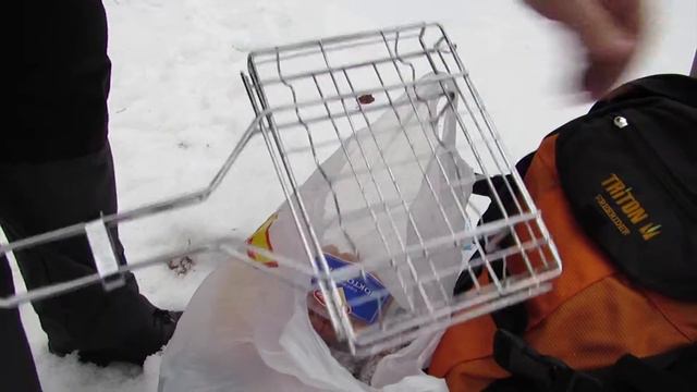 Прогулка в лесу 1 марта смотреть онлайн