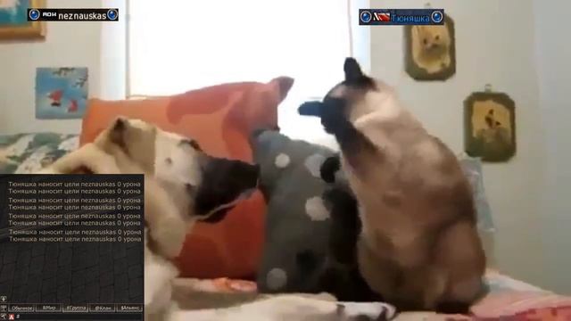 Lineage II Grand Crusade Olympiad / Третья (заливная) неделя на олимпе глазами мидл игрока смотреть онлайн