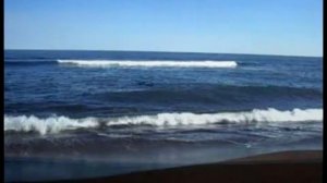 Терпкая Камчатка, до свидания mp4