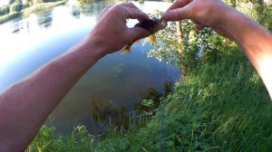 МИКРОДЖИГ на СИЛЬНОМ ТЕЧЕНИИ. Ловля щуки на спиннинг. Как ловить на микроджиг?