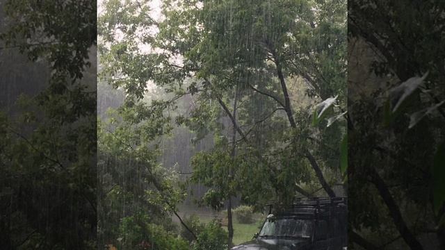 Жаңбыр дауысы | 1 сағаттық релакс