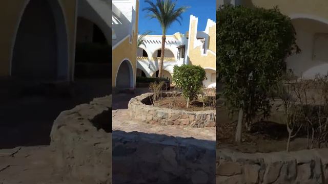 Египет,отель Faraana rif resort 4*, общий обзор отеля и номера. смотреть онлайн