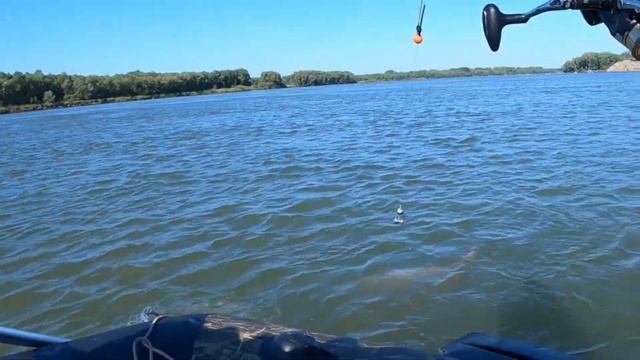 В поисках САЗАНА на реке Обь/ На острове с палаткой смотреть онлайн