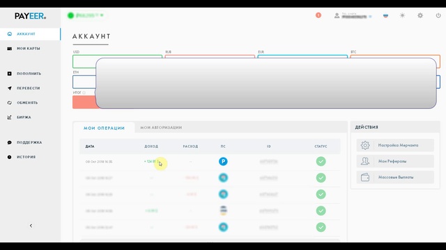 Вывод средств с аккаунта БИНОМ на кошелек Payeer смотреть онлайн