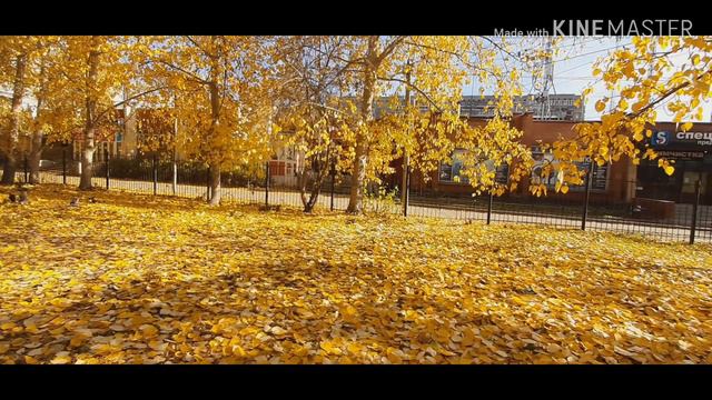 4к видео смотреть онлайн