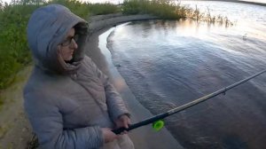 рыбалка в июне на Печоре