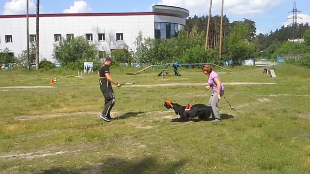 Вася, развлекушечки смотреть онлайн