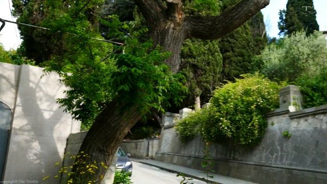 [4K] РОССИЯ КРЫМ В ГОРОДЕ ЯЛТА 2023. Прогулка по ЯЛТЕ, путешествие по России. Реальный Крым. смотреть онлайн