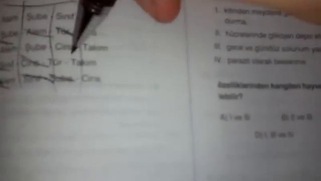 Sınavda sallama yöntemi ? смотреть онлайн