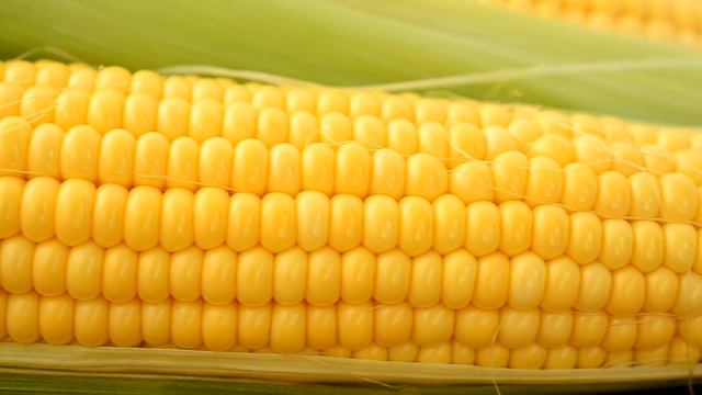 Лучшие Неприхотливые Сорта СЛАДКОЙ КУКУРУЗЫ На Посадку в 2022 Году! Урожай Будете Собирать Тоннами! смотреть онлайн