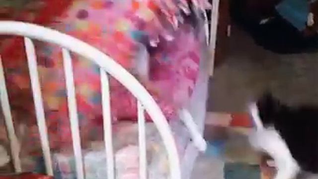 Жмурки 2 смотреть онлайн