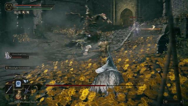 【Elden Ring】Cleanrot Knight Finlay vs Godrick the Grafted【All Spirit Ashes+10】 смотреть онлайн