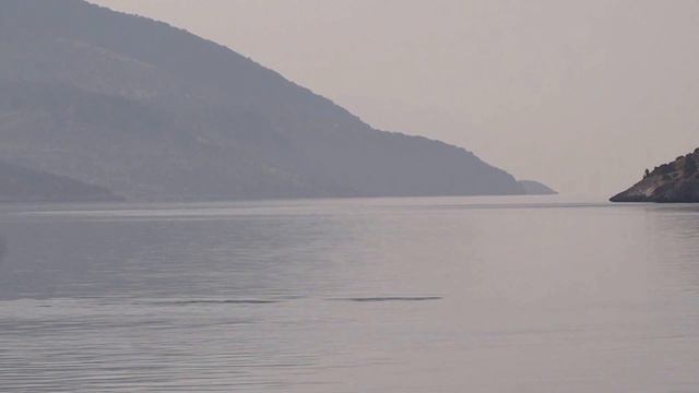 Дельфины в Греции. смотреть онлайн