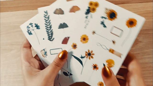 ✨STICKER COLLECTIONS 3(sticker sheets) + links & prices ShopeePH смотреть онлайн