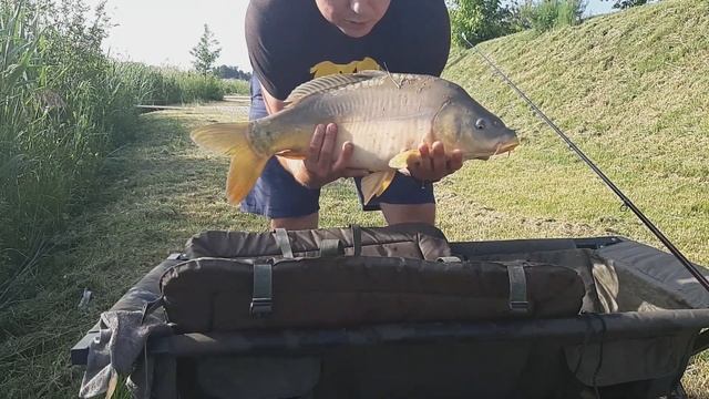 łowisko karpiowe wiktoria смотреть онлайн