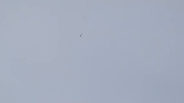 Сброс парашютистов с авиамодели. Полет 1. смотреть онлайн