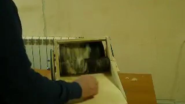 Электрический кардер чешет стриженую шерсть. смотреть онлайн