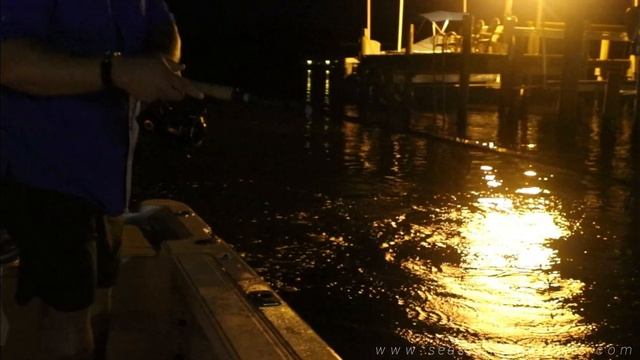 SEA STALKER CHARTERS - Pre Dawn Fishing