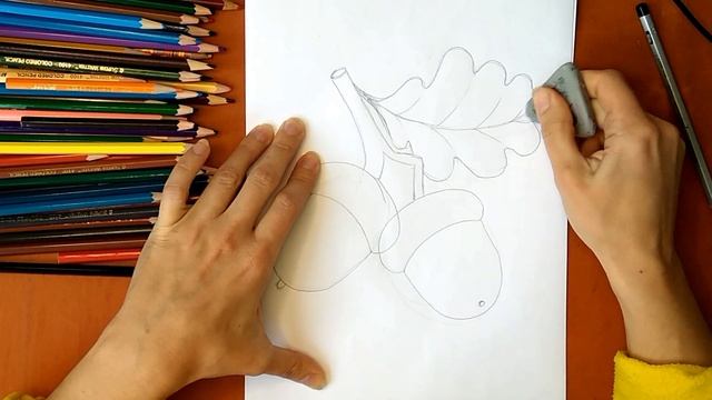 Как нарисовать желудь. Онлайн-школа рисования "Малевашки" смотреть онлайн
