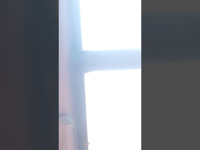 Шмель. Шмелка летает. смотреть онлайн