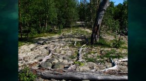 §26 "Великое оледенение", География 8 класс, Домогацких