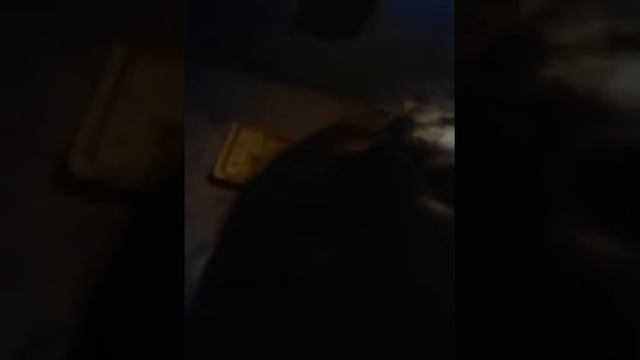 2 часть как сделать лёд смотреть онлайн