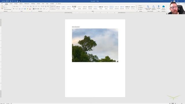 How to set up one-click screenshots in one click in Outlook, Word, Excel смотреть онлайн
