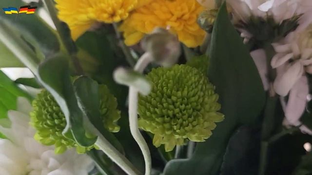 Цветы и грибы! Украинцы в Германии! смотреть онлайн