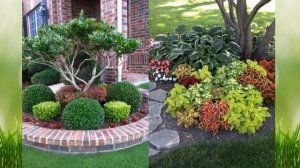 Озеленение участка загородного дома