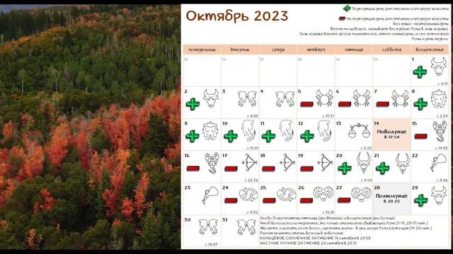 Лунный календарь СТРИЖКИ волос на ОКТЯБРЬ '23 Благоприятные и неблагоприятные дни #календарьстрижек смотреть онлайн